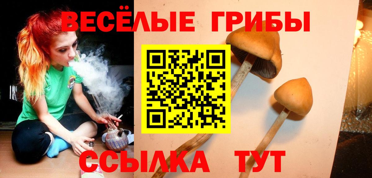 Галлюциногенные грибы прущие грибы  Псилоцибиновые грибы Cubensis  Вход с VPN  Медногорск 